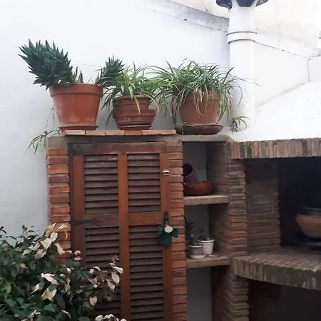 Individual Tranquila En Valencia, Con Amplia Terraza Para Mascota Pensjonat Walencja