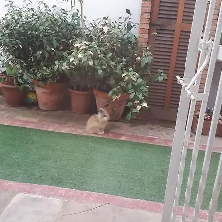 Individual Tranquila En Valencia, Con Amplia Terraza Para Mascota Pensjonat Walencja